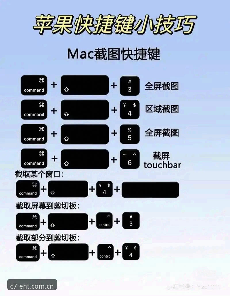 C7娱乐平台下载实用指南：新手必备的下载技巧与操作详解